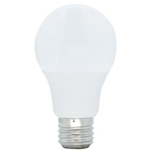 LED LIGHT BULB
